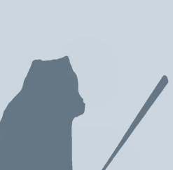 Cat avatar